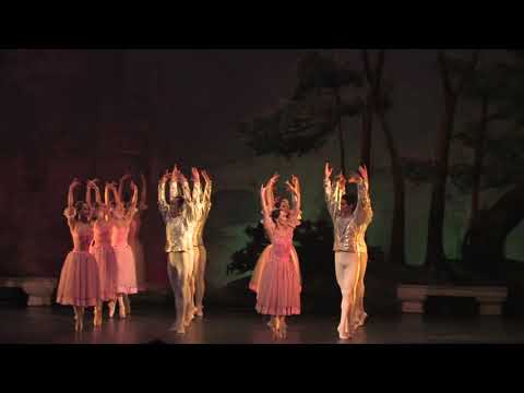 Swan lake 1 /Mongolia/