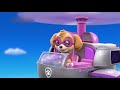 PAW Patrol Full HD Pups Team Episode 21 Pups Save A Bat Pups Save A Toof Funny Movies For KIDs Pa