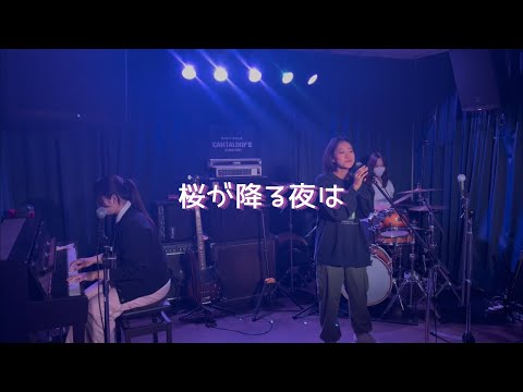 桜が降る夜は/あいみょん【cover】