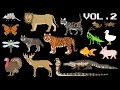 Animals Collection Volume 2 Farm Animals Mammals Pets Reptiles The Kids Picture Show