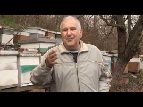 Boja meda ep. 41 18.12.2018. NAJAVA