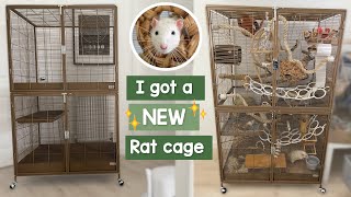 I got a new rat cage | Setting up the Little zoo venturer