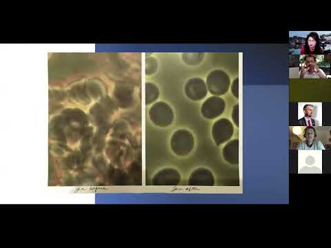 Clean Slate Review  ~ When Size Matters | Root Wellness