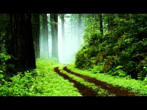 [Draft-01] Tuonne Taakse Metsämaan - Finnish Folk Song