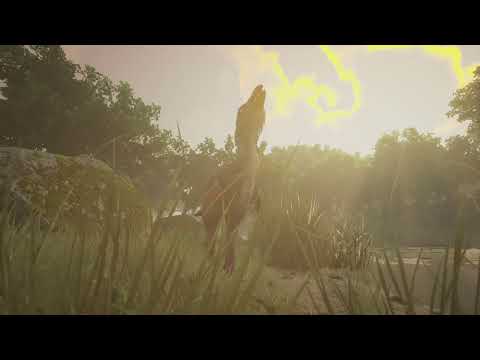 Rise Of A Murder Turkey "life Of A Keklen Pt 1