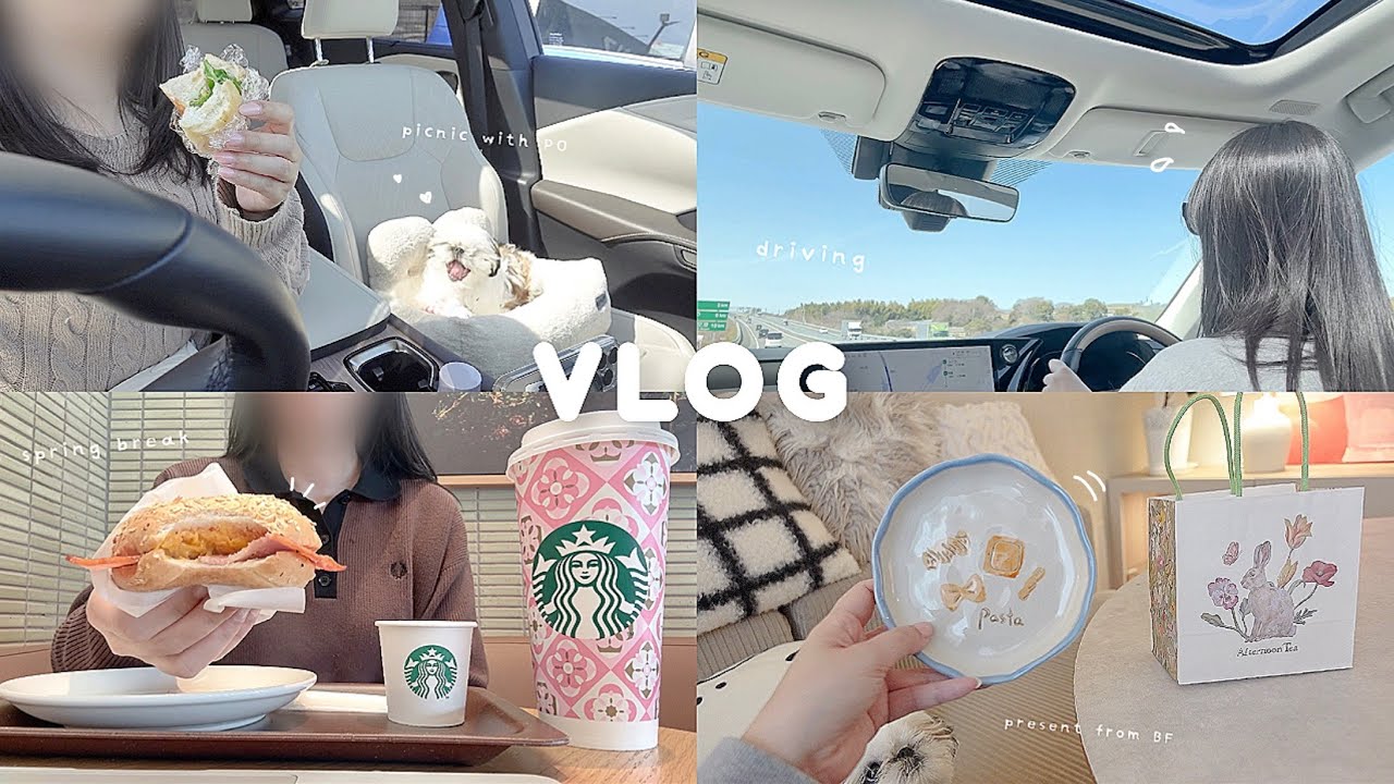 ついに免許を取りました‼︎ 🚗 たくさん運転する高校生の春休み🌸小学生ぶりのコストコで買い物と車内ピクニック🐶🥪