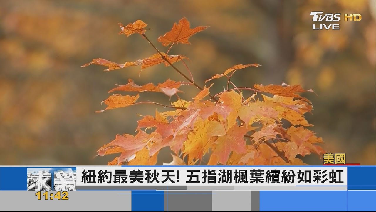 紐約最美秋天! 五指湖楓葉繽紛如彩虹