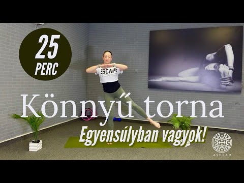 Könnyű torna- mindenkinek! Nincs ugrálás, nincs szökdelés és térdelés sem!