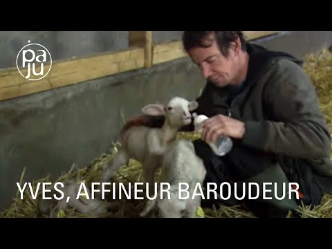 , title : 'Éleveur de brebis atypique, Yves fabrique des fromages bio à l’arôme de ses montagnes'