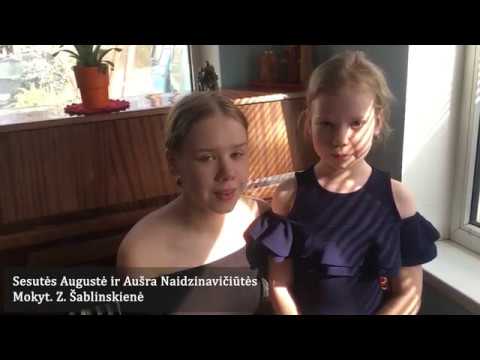 7. Jadvyga Čiurlionytė – „Sėdžiu po langeliu“