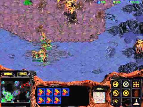 StarCraft Brood War [FPVOD] Notforu vs a2 terrakotCUP