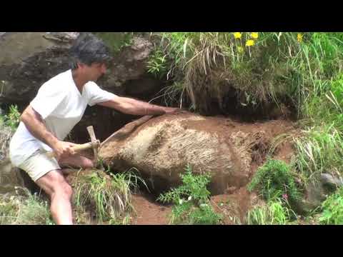 RICERCA DEI TROVANTI   BENVENUTO SABA