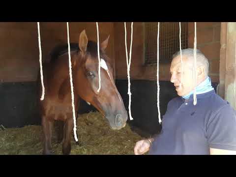 LATEST NEWS ON GOLDEN DUCAT