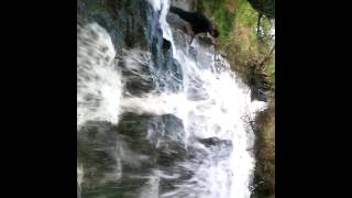 preview picture of video 'The World's Most Beautiful Waterfalls'