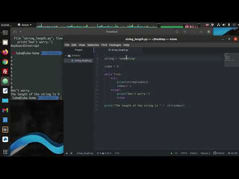 Python 3 Make A Function To Find String Lengths
