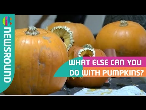 What to do with your left over Halloween Pumpkins?!