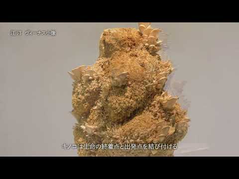 構想設計専攻　紹介動画