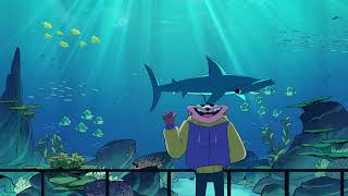 What the Shark is it?