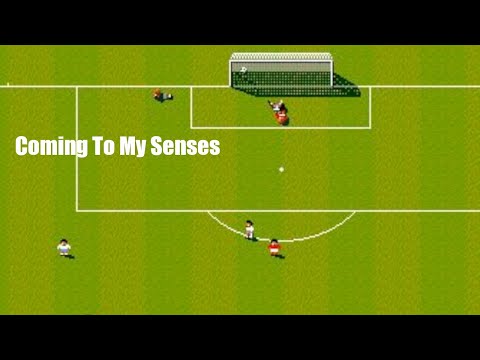 What Made Sensible Soccer So Great?