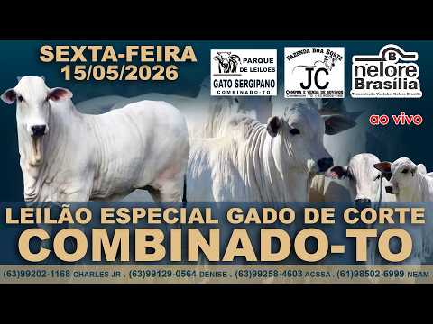 Leilão Gado de Corte, Combinado-TO, 15/05, (63)992021168 (63)991290564 (63)992584603 (61)985026999