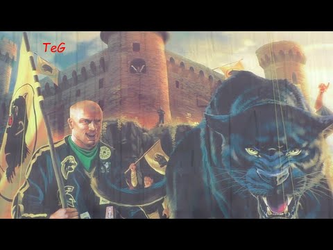 Bandierone Pantera aranceri - Carnevale Ivrea 2023