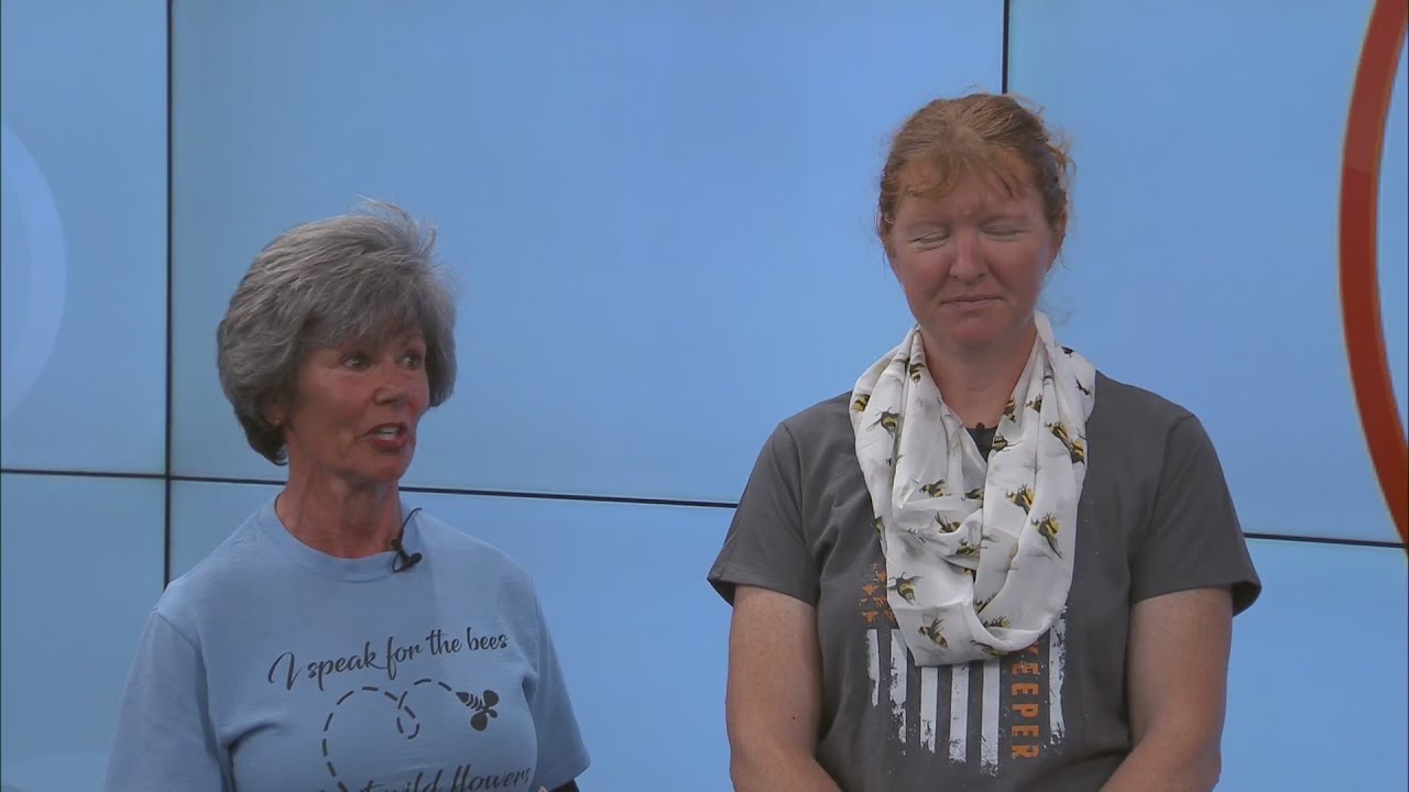 Appalachian Bee Club of East Tennessee to hold beginning beekeeping classes