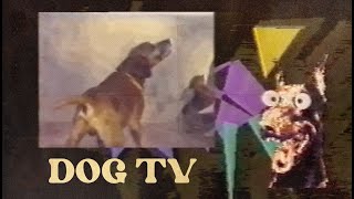 Dog TV (1986)