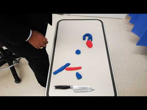 Cardiac Anatomy for Transthoracic Echo part 1