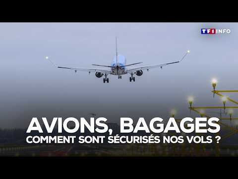 Pilotes, avions, bagages... comment sont sécurisés nos vols ?｜TF1 INFO