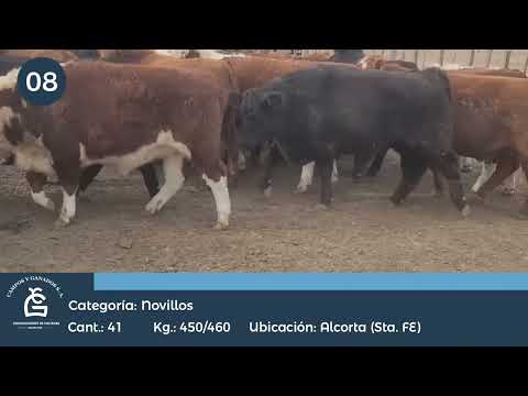 Lote NV UE HILTON - Alcorta Sta Fe