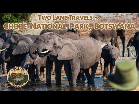 Safari Chobe National Park, Botswana - Two Lane Travels to Africa   - Episode 6