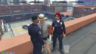 NoPixel GTA - the Scarlet Winters/Kareem/Blaze Lit incident