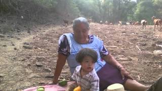 preview picture of video 'Guadalupe La Huertilla'