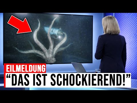 Something sinister has been discovered at a depth of 12,000 meters – researchers remain silent.