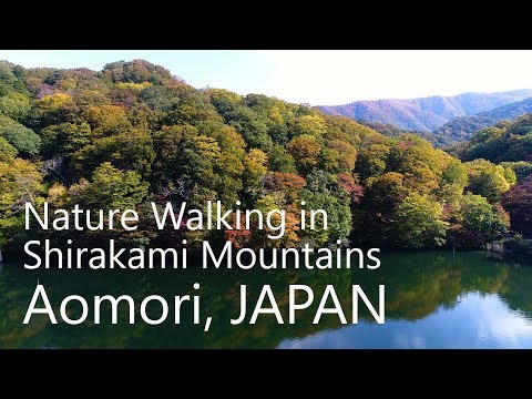 Nature Walking at Juniko Lake in Aomori JAPAN