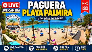 🌞 🌊 Live Webcam Playa Palmira 2 / Rendezvous Garden Paguera|4K 180° #Balearics #Mallorca #Livestream
 live webcam