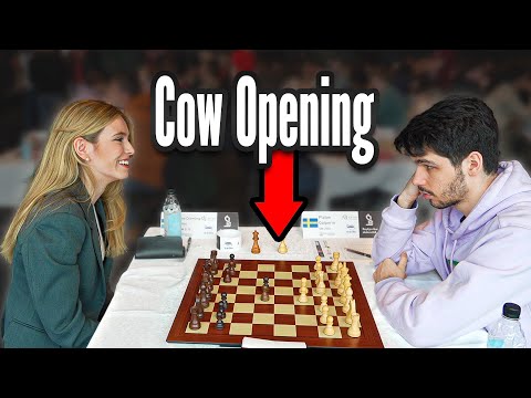 The Shocking Cow Opening: A Grandmaster's Experience