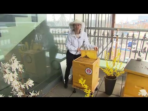 FC St. Pauli produziert eigenen „Ewaldbienenhonig“