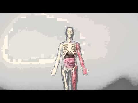 About Nanoelectronics