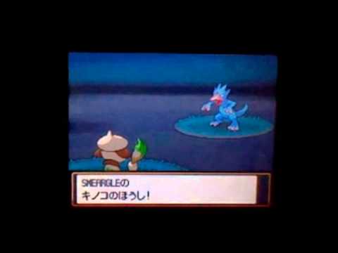 TrollDuck!! 4th Shiny Golduck Encounter! (Jap. HeartGold) 100% legit!!