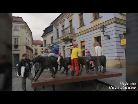 Road trip to Brno from Vienna