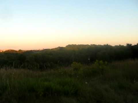 punx picnic 07.08.10 Hull,Quebec