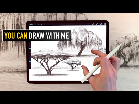 Apple pencil drawing tutorial - how to draw trees - willow and acacia