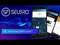 SellPro - How Does it Work?