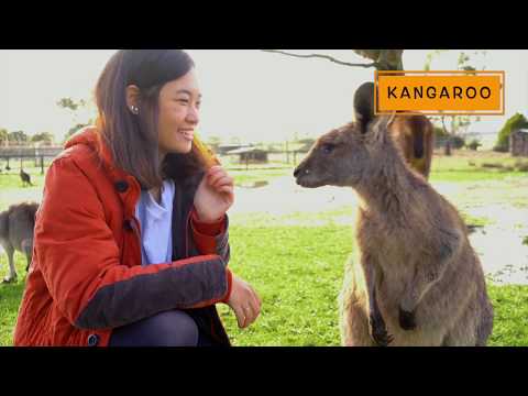 Melbourne Touring Company