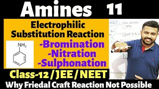 Amines 11 | Electrophilic Substitution Reaction Of Aniline | Class 12 | Organic Chemistry |