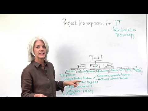 IT project manager video 2
