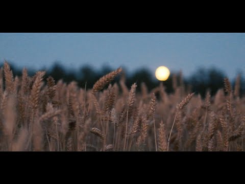 SECRET - Gal George Gjurin