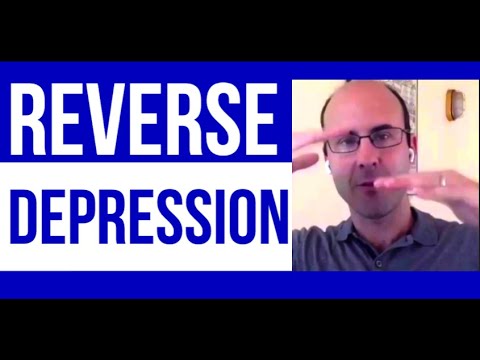 Dr Alex Korb - 'The Upward Spiral: Using Neuroscience to Reverse the Course of Depression'  pt 3.