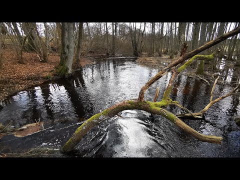 LISTERBYÅN nära ORMANSTORP - 210416 - Johannishus - RONNEBY - Huawei p30 PRO - Blekinge